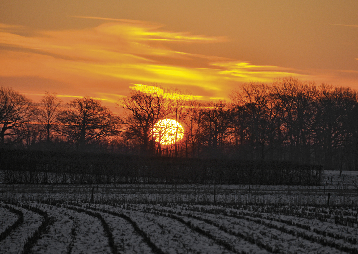 rode zon kerst